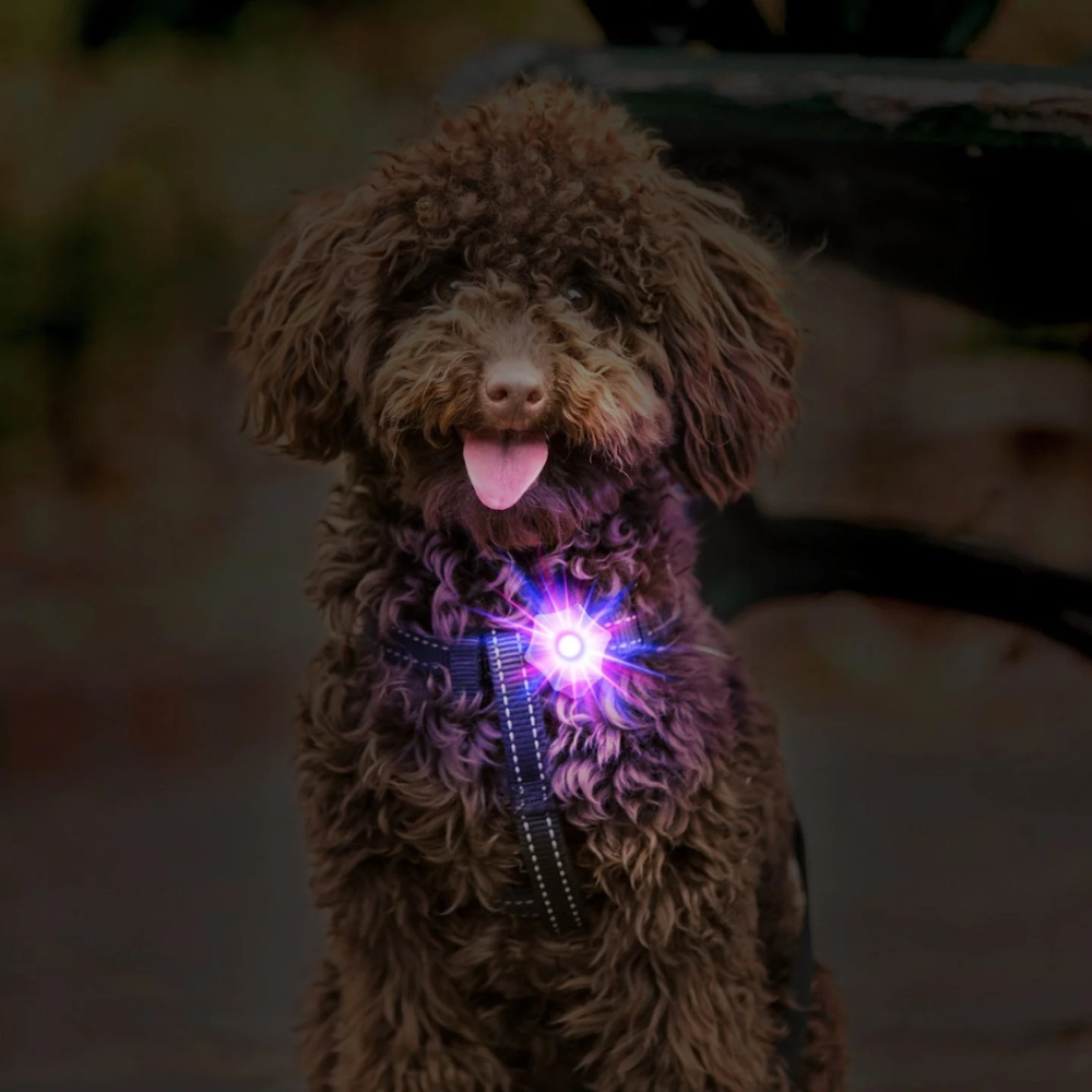 Aurora Polaris Blinker