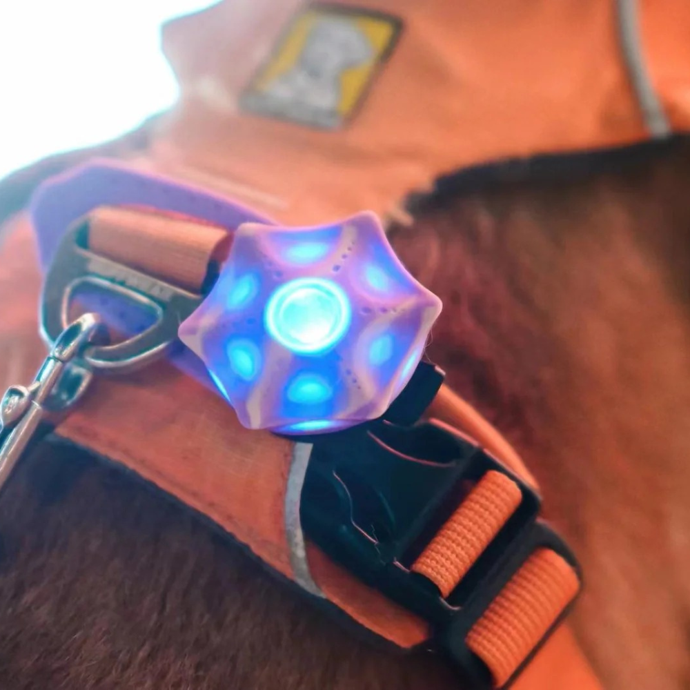 Aurora Polaris Blinker