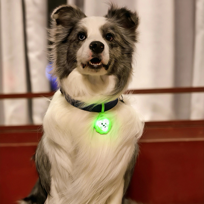 Glow Pup Blinker - Green