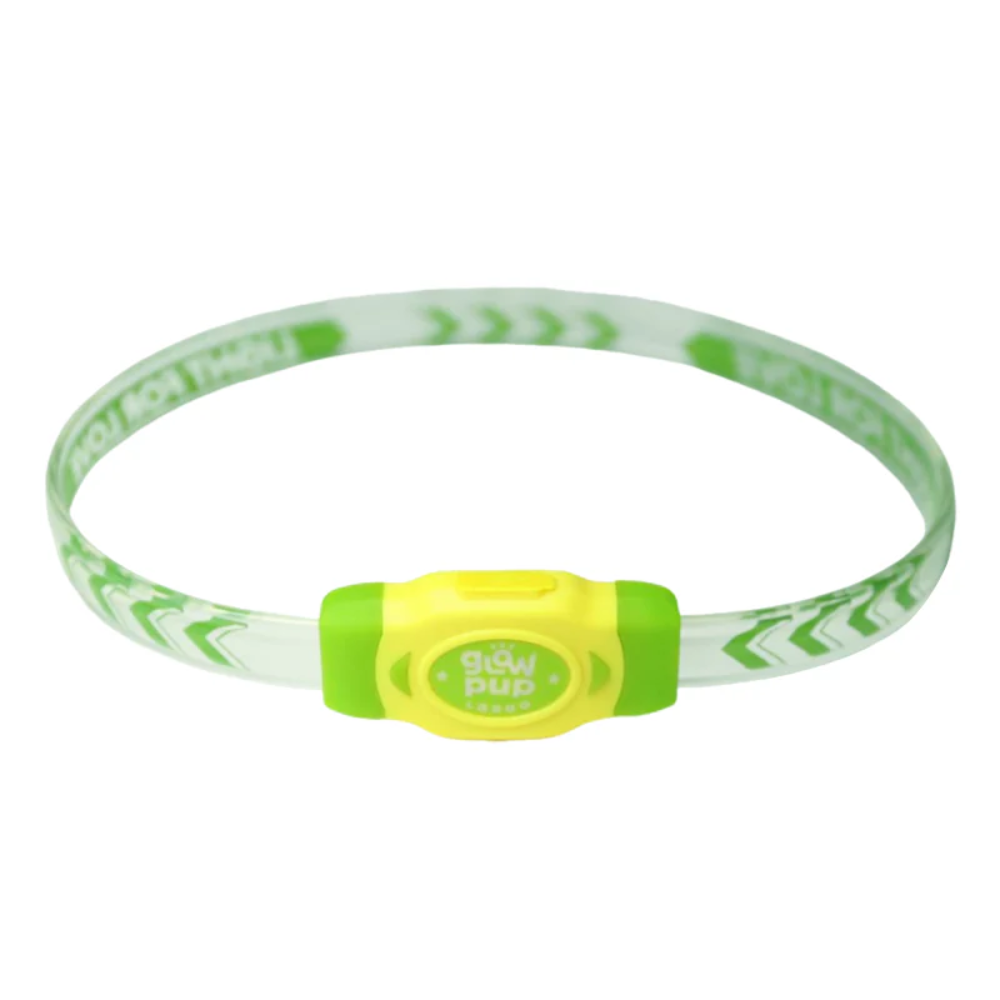 Glow Pup Rechargeable LED Collar - Green