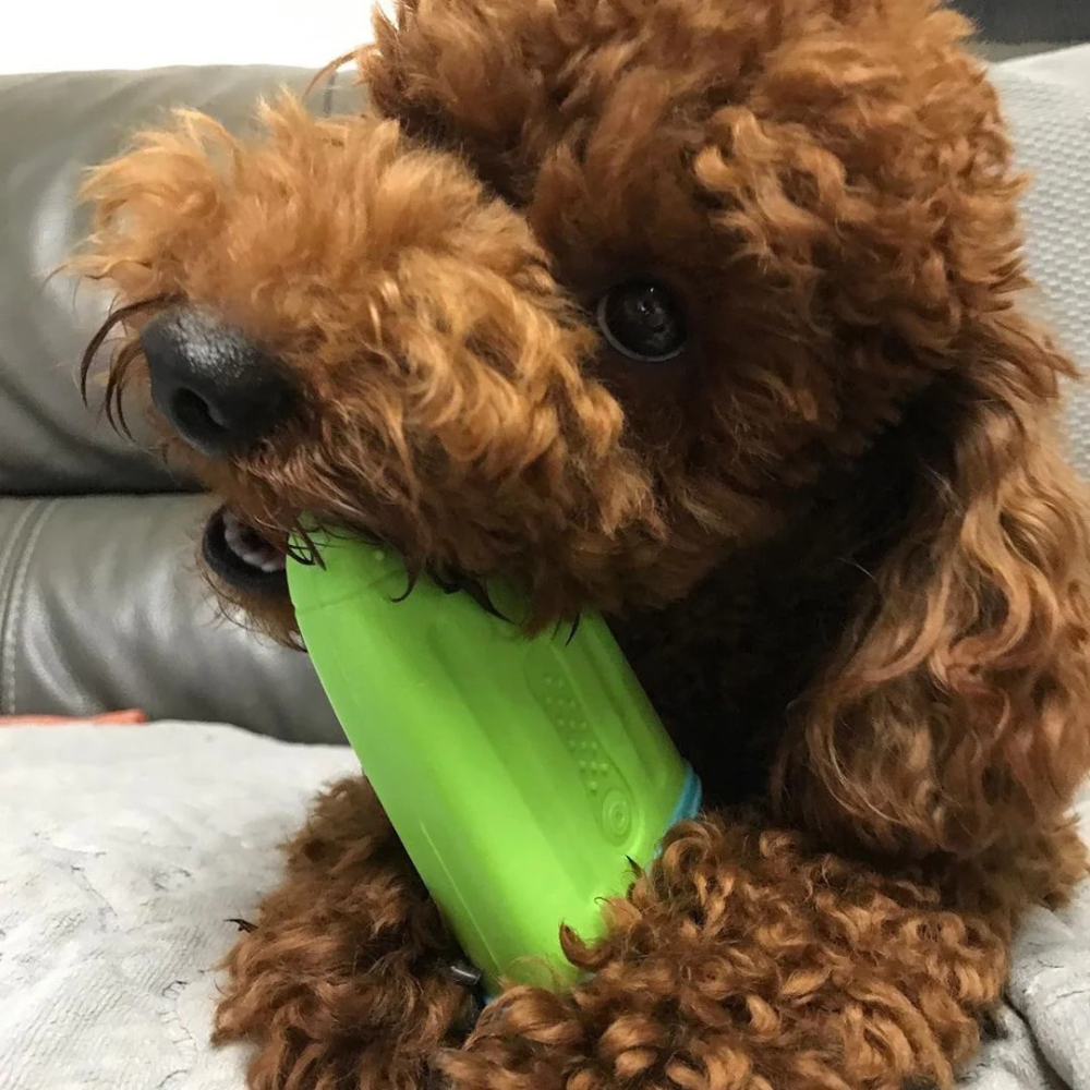 Ice Pop - Avocado Green