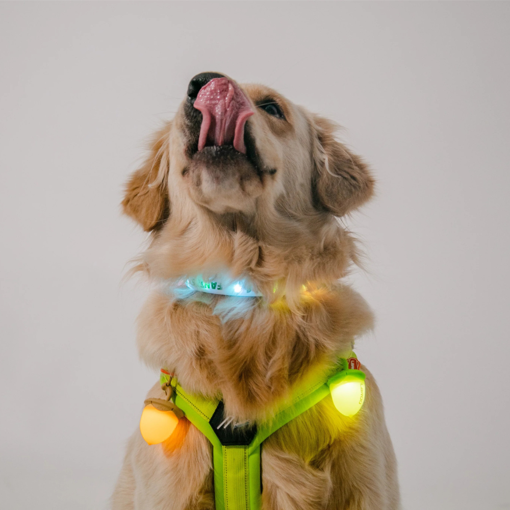 Nut Blinker - Green