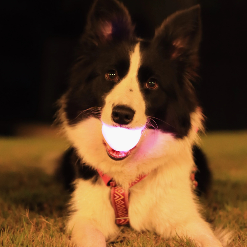 Rainbow LED Ball