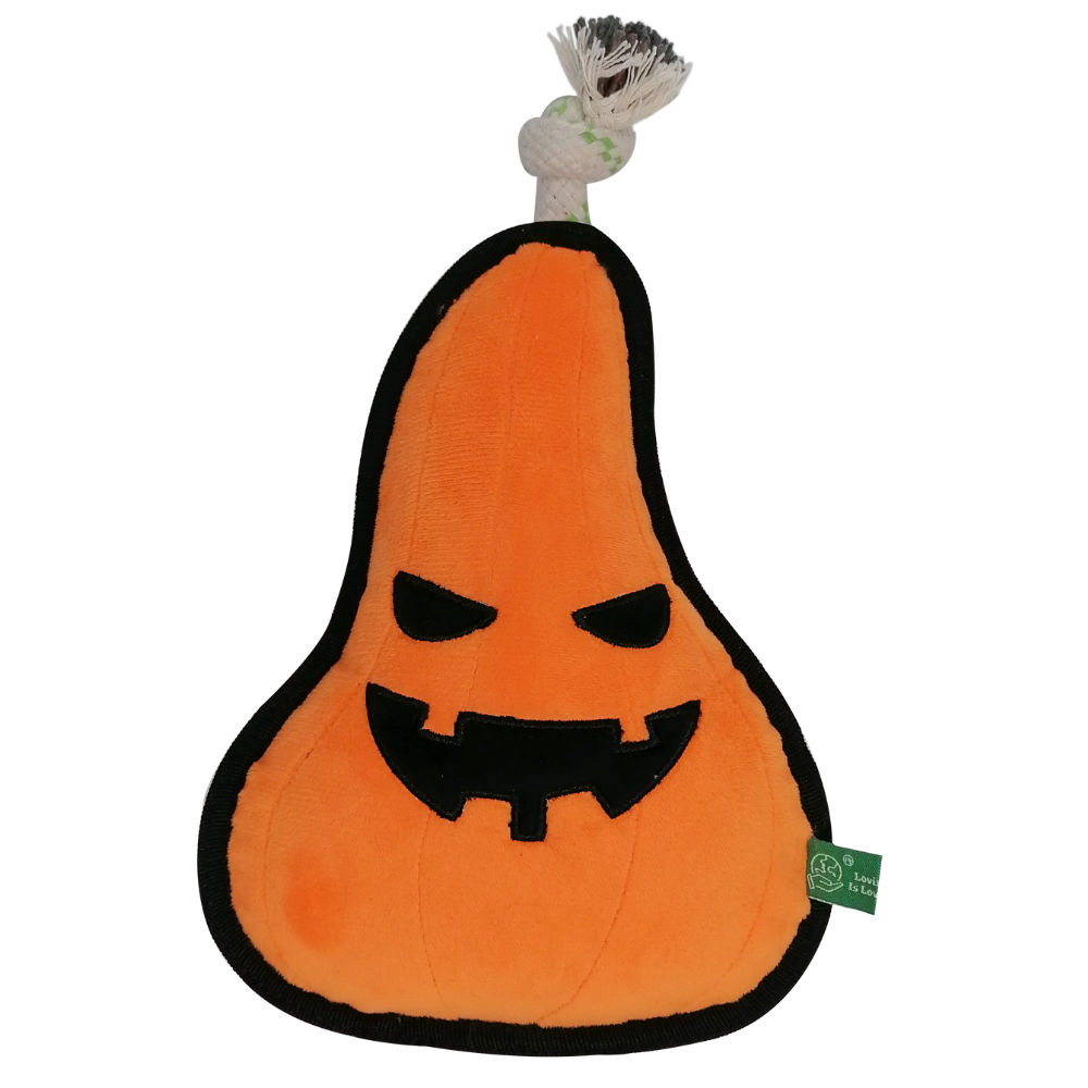Pumpkin - S
