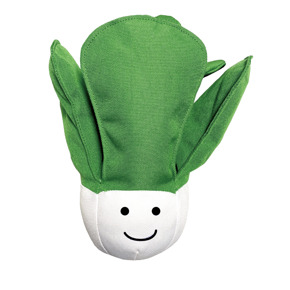 Cabbage