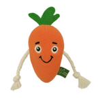 Carrot Cat