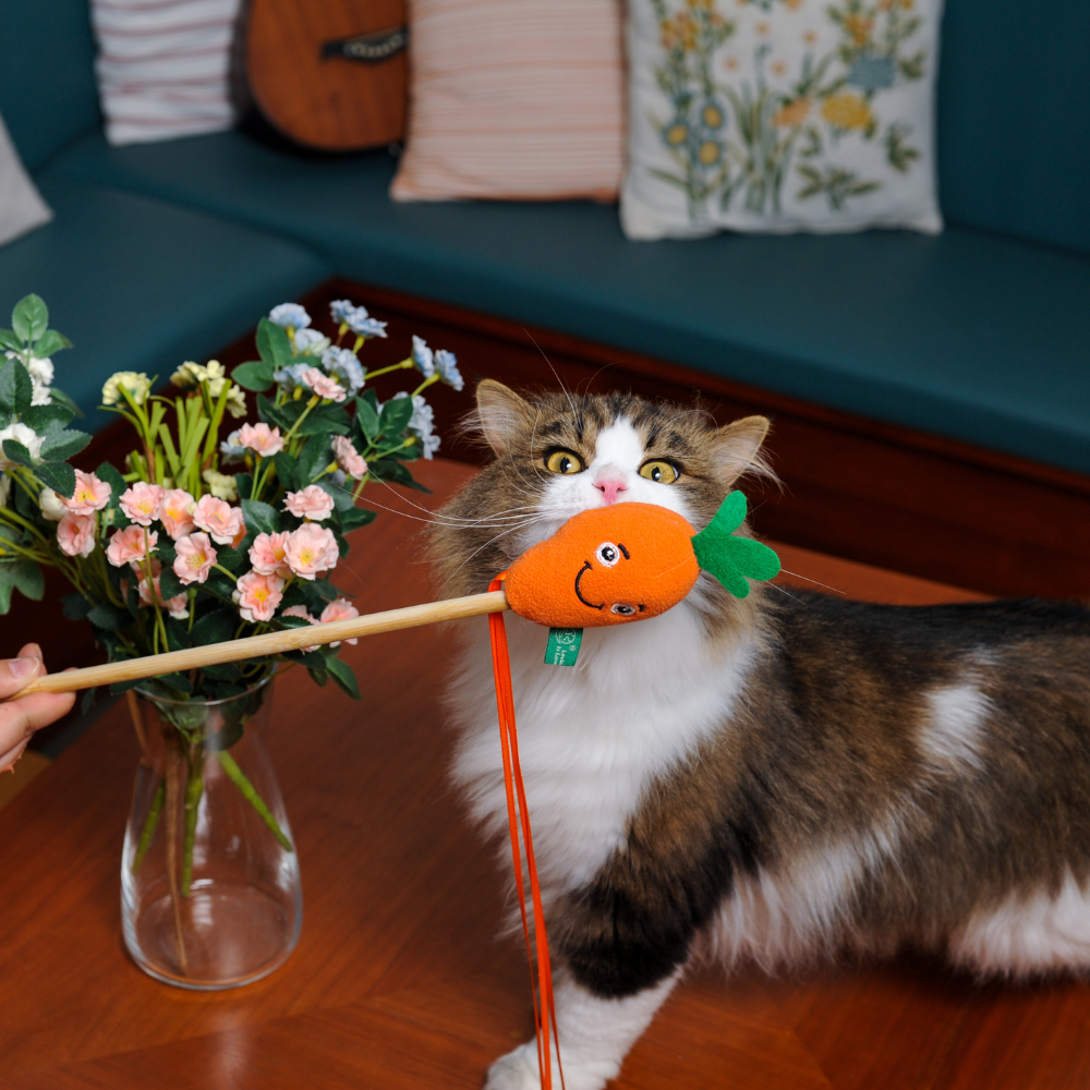 Carrot Wand