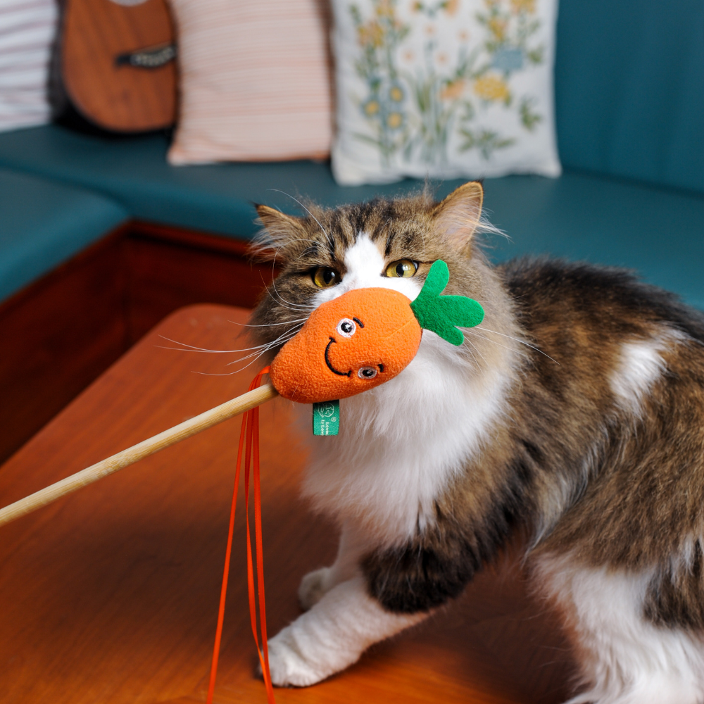 Carrot Wand
