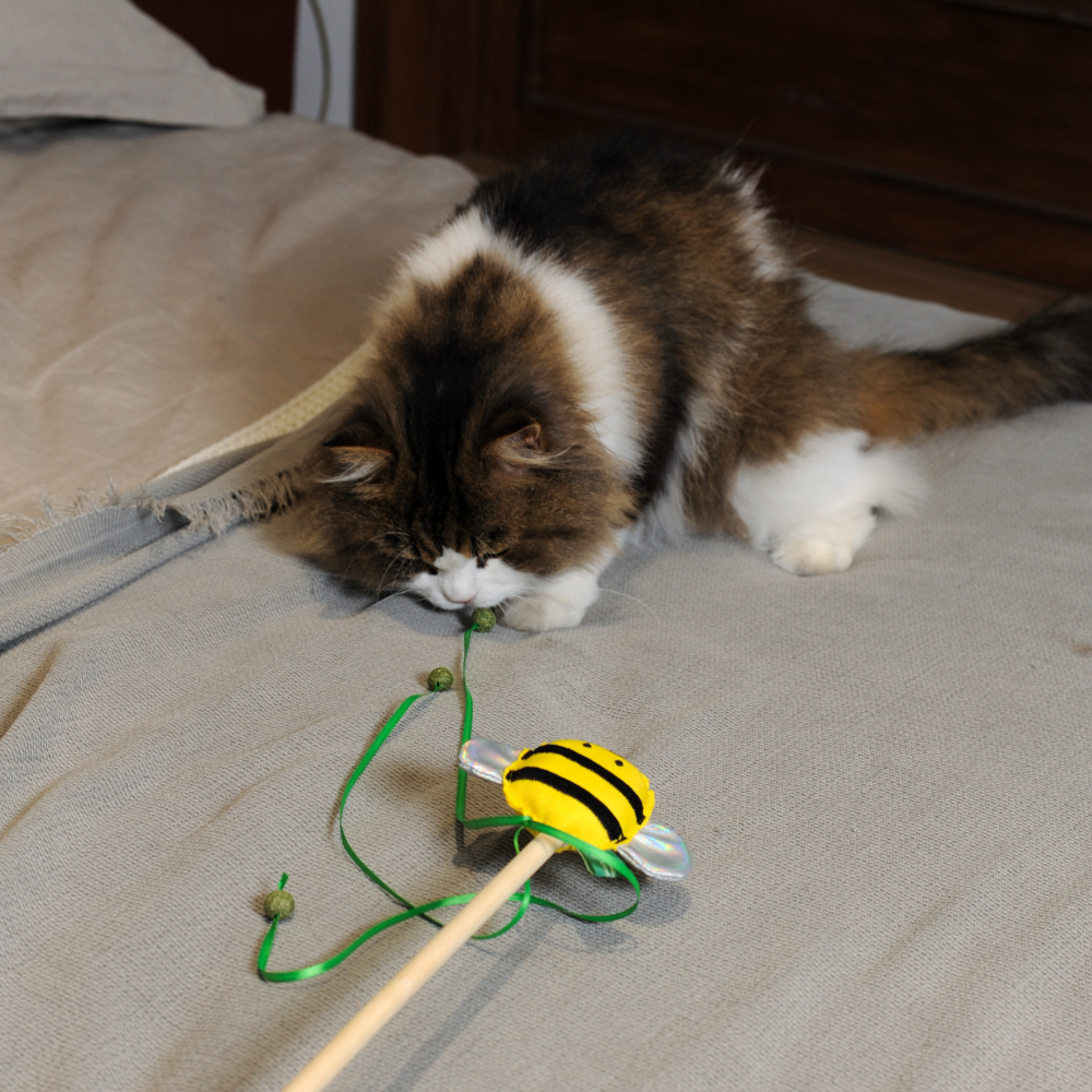 RPET Catnip Wand - Bee