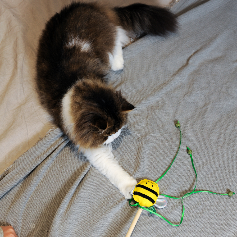 RPET Catnip Wand - Bee