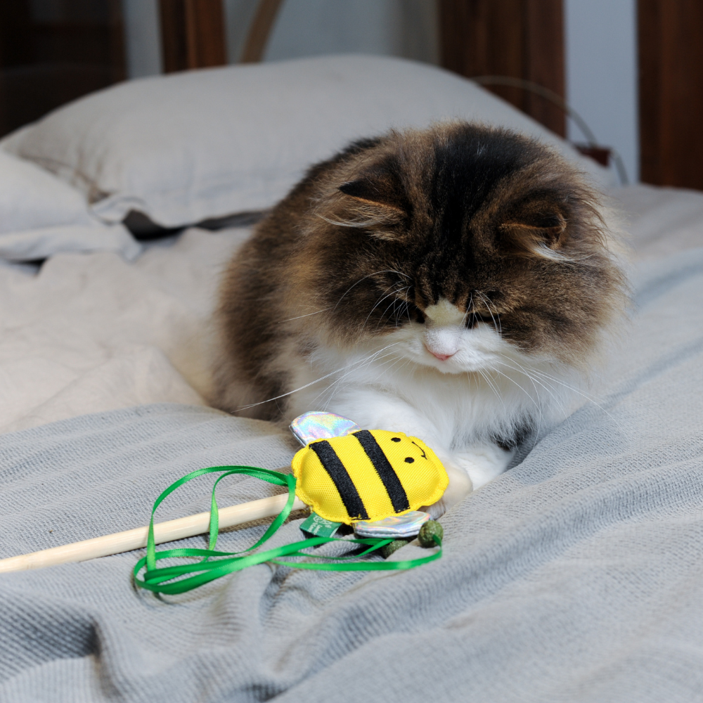 RPET Catnip Wand - Bee