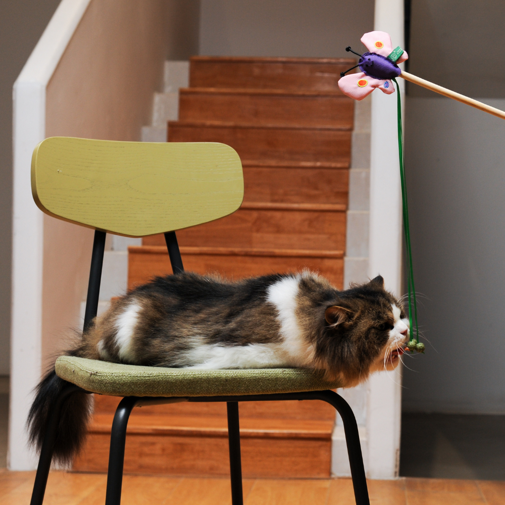 RPET Catnip Wand - Butterfly