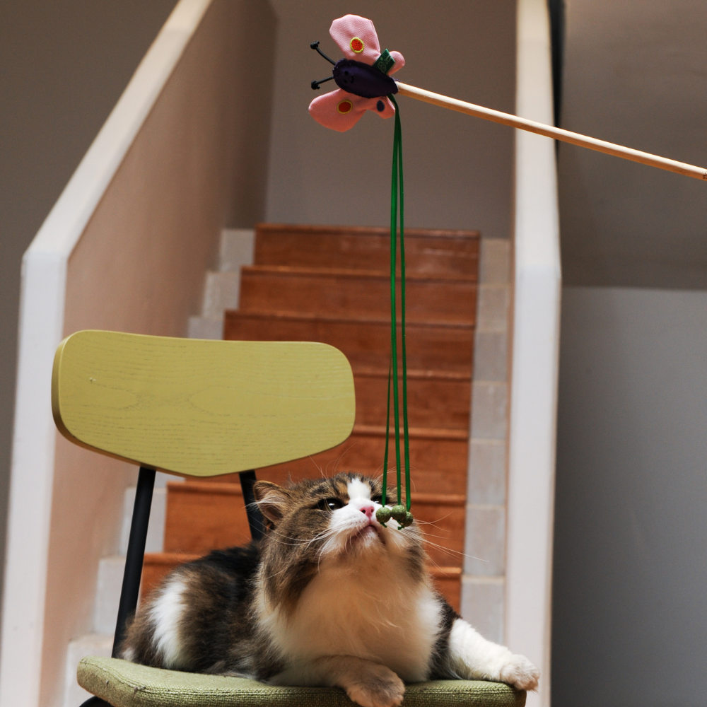 RPET Catnip Wand - Butterfly