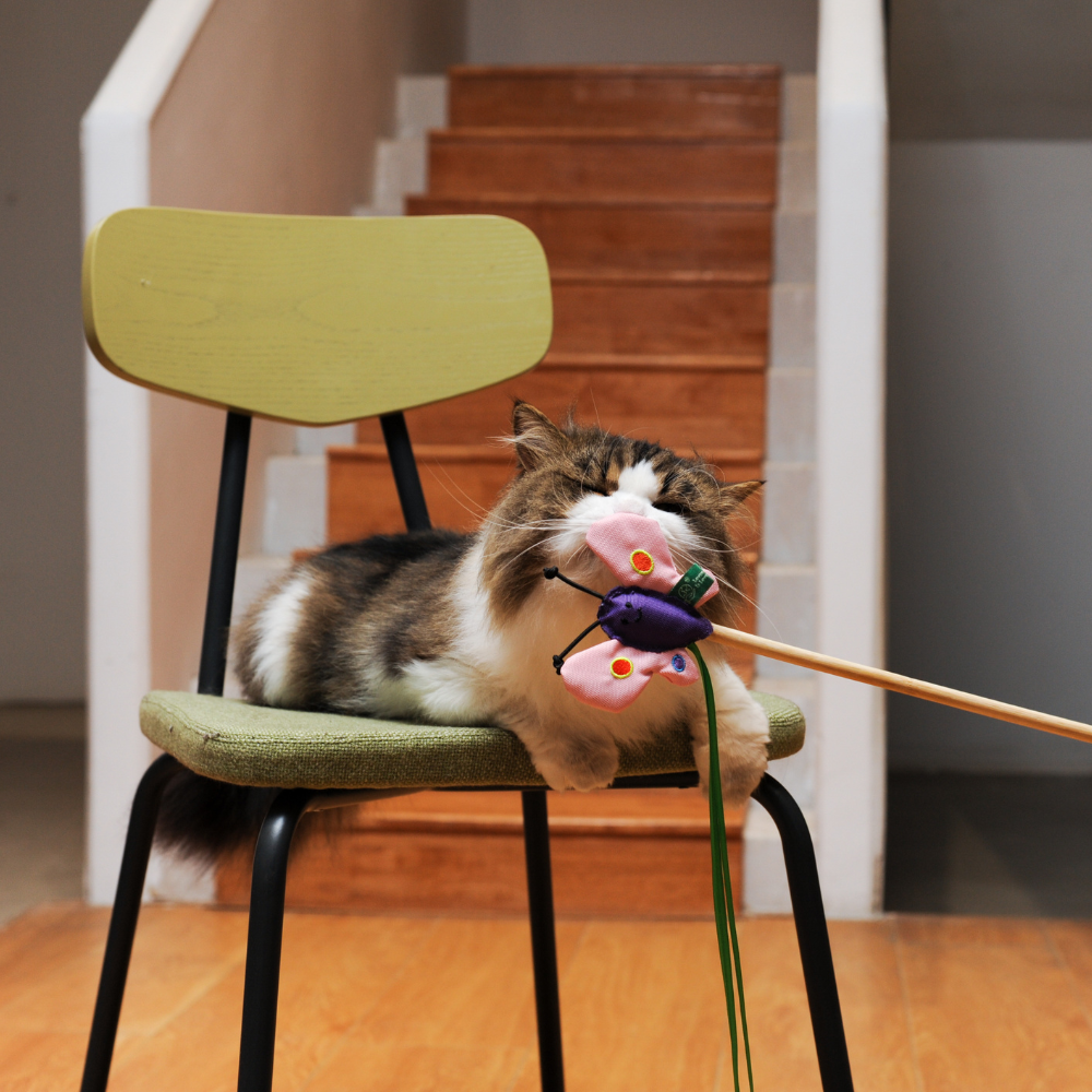 RPET Catnip Wand - Butterfly