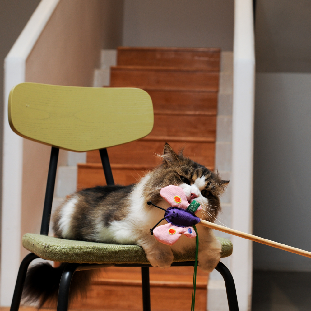 RPET Catnip Wand - Butterfly