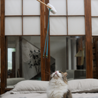 Catnip Wand - Cloud