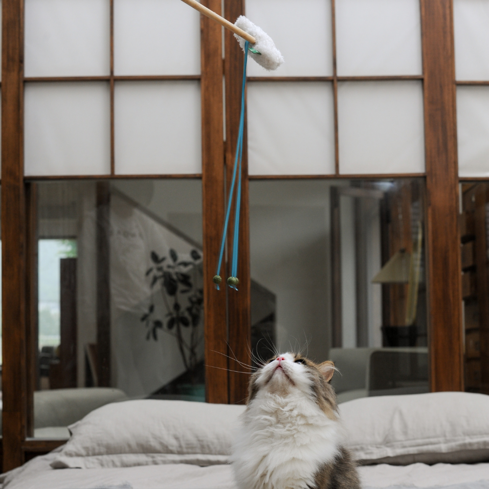 Catnip Wand - Cloud