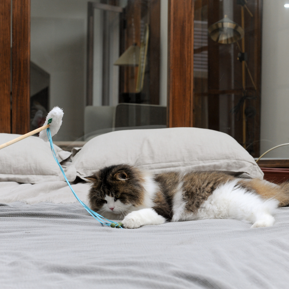 Catnip Wand - Cloud