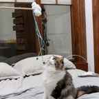 Catnip Wand - Cloud