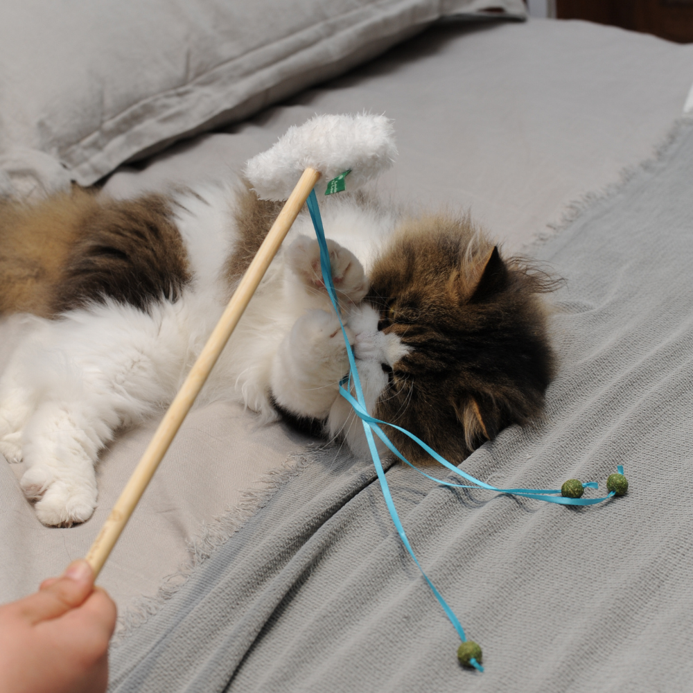 Catnip Wand - Cloud