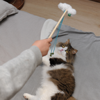 Catnip Wand - Cloud
