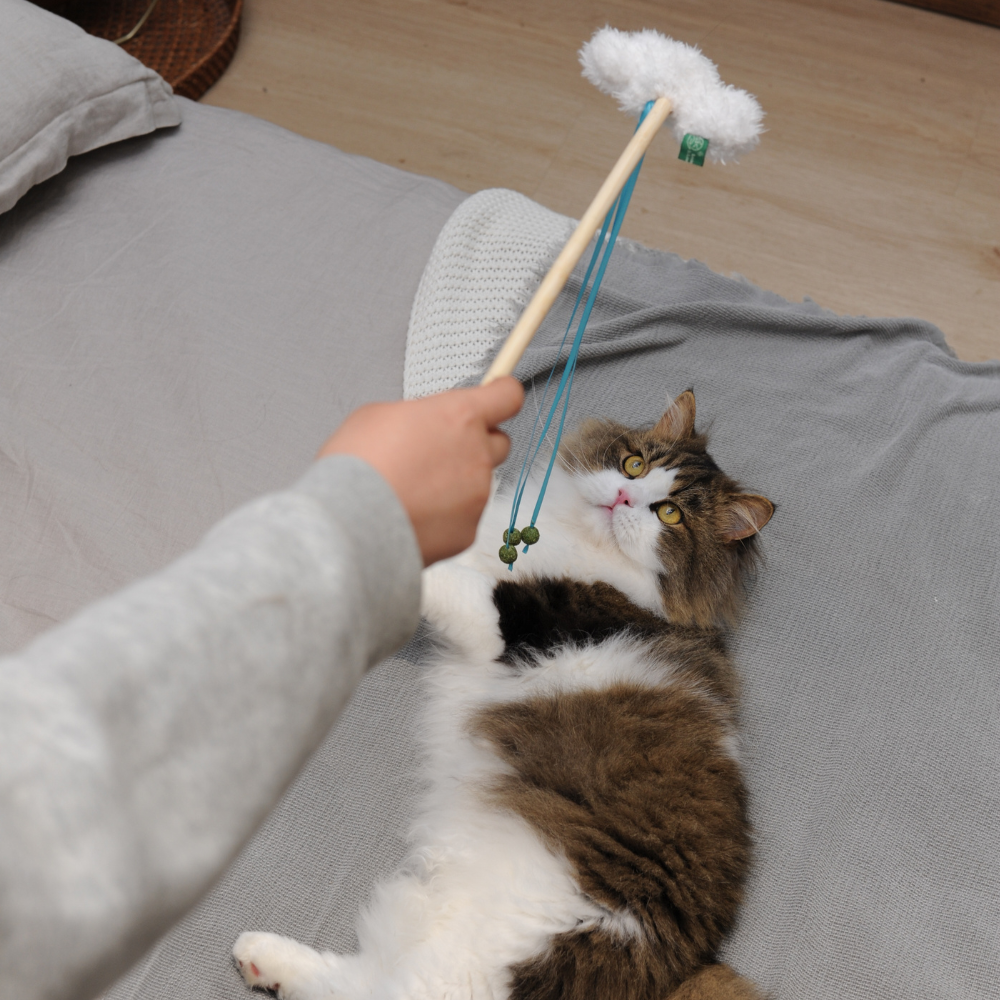 Catnip Wand - Cloud