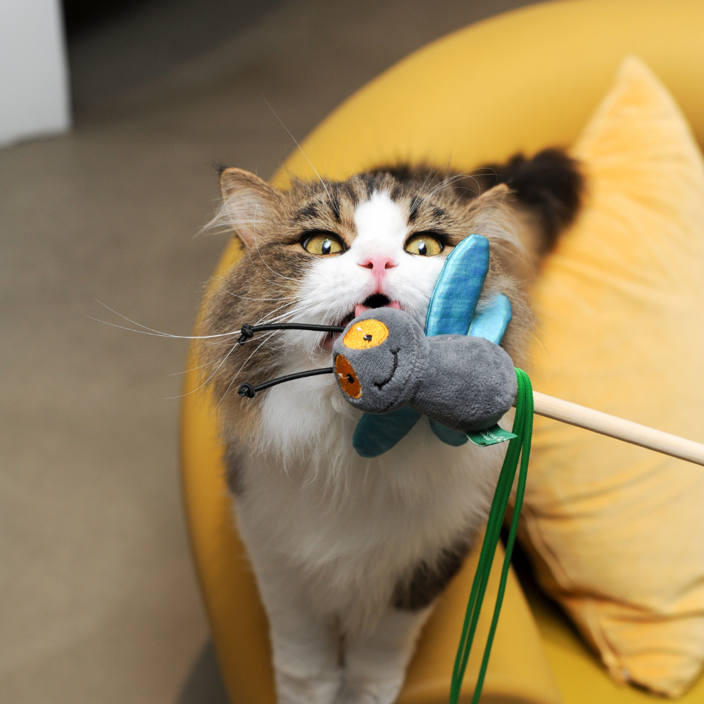 Catnip Wand - Fly