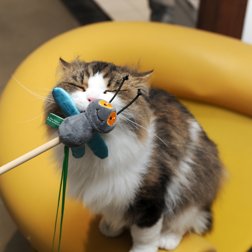 Catnip Wand - Fly