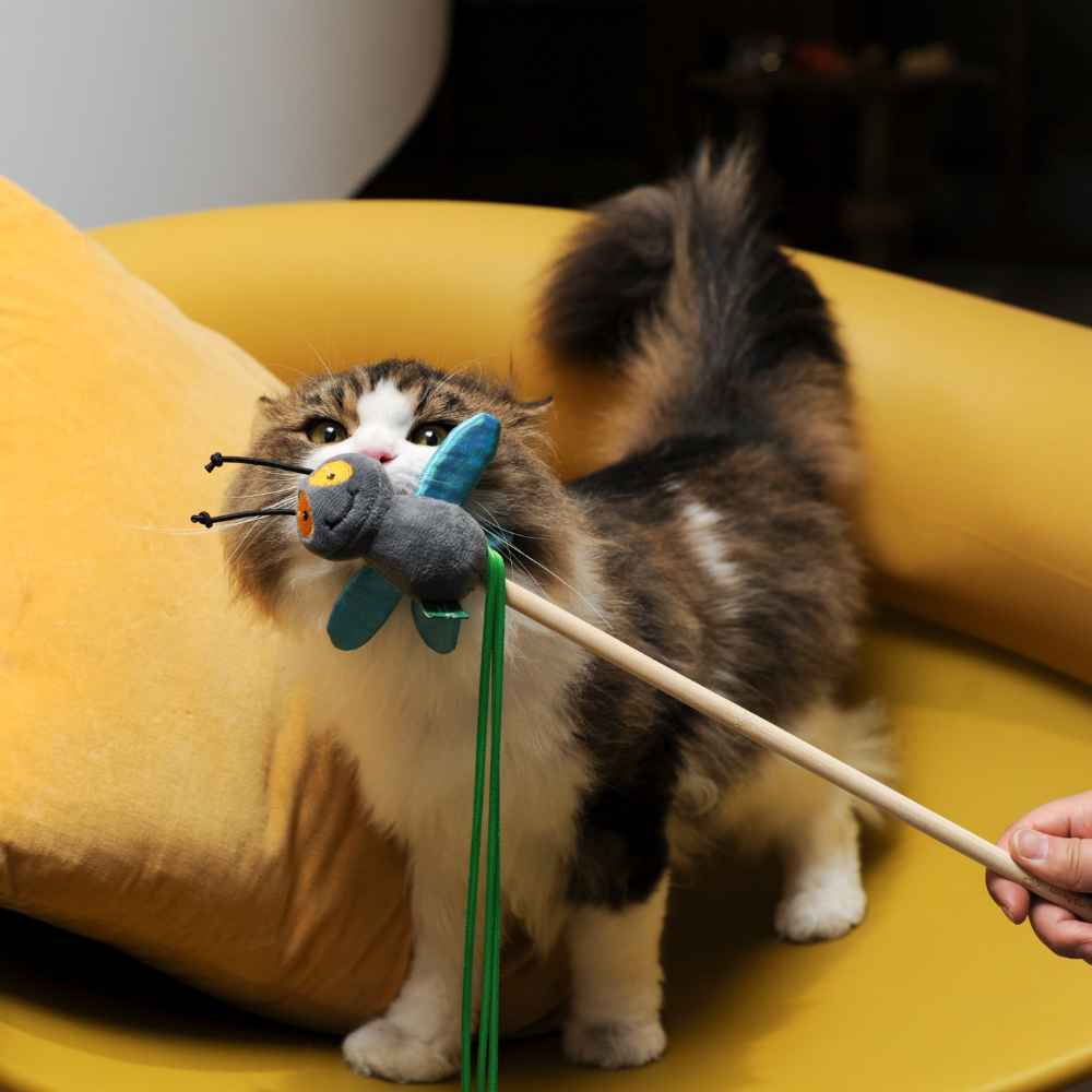 Catnip Wand - Fly