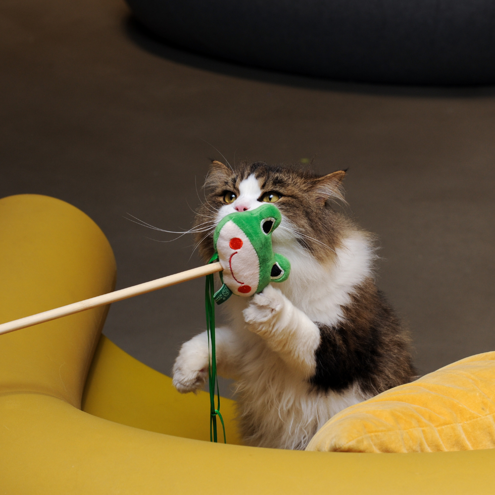Catnip Wand - Frog