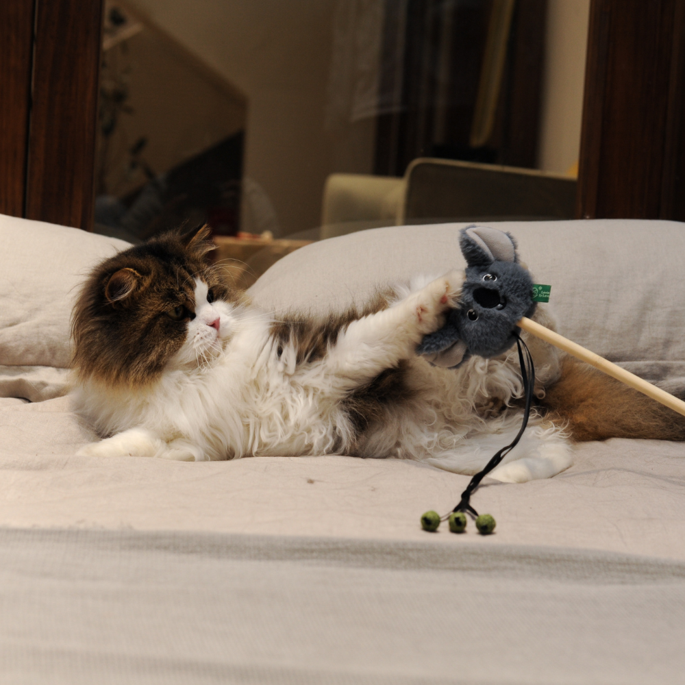 Catnip Wand - Koala