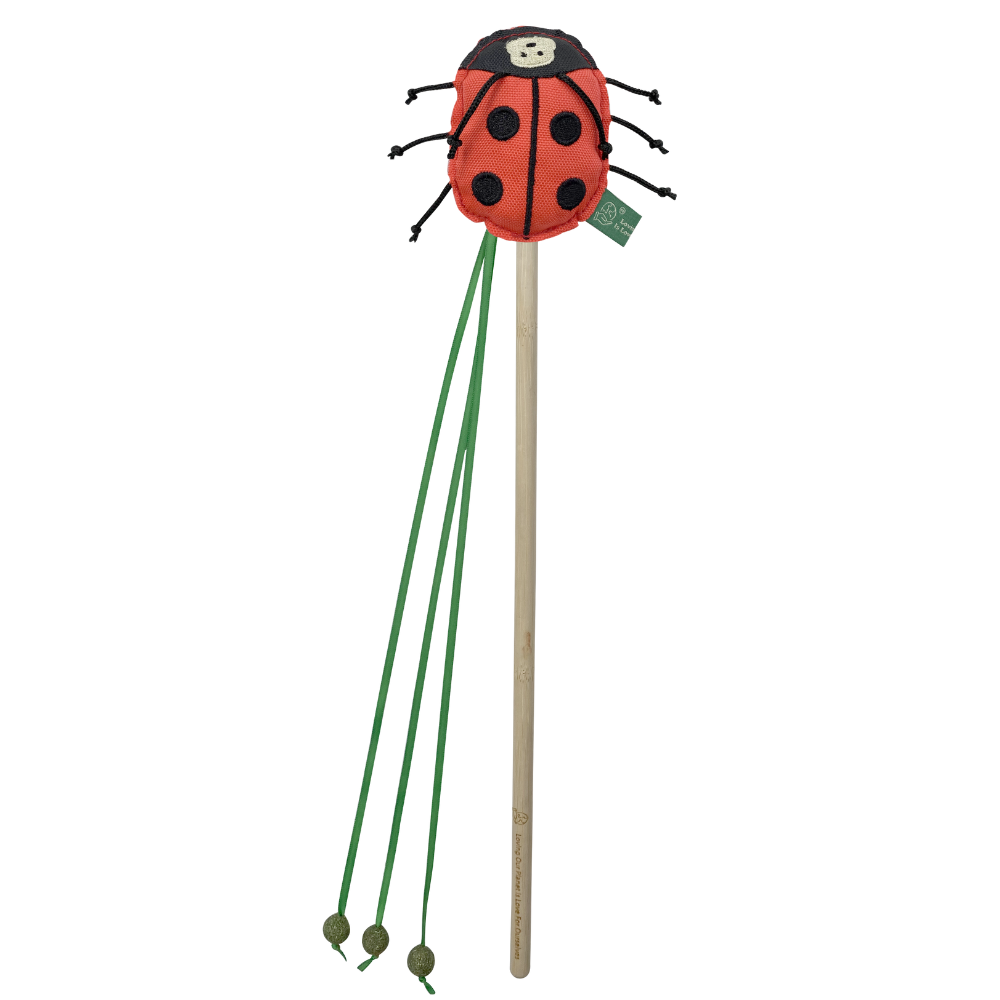 RPET Catnip Wand - Ladybird
