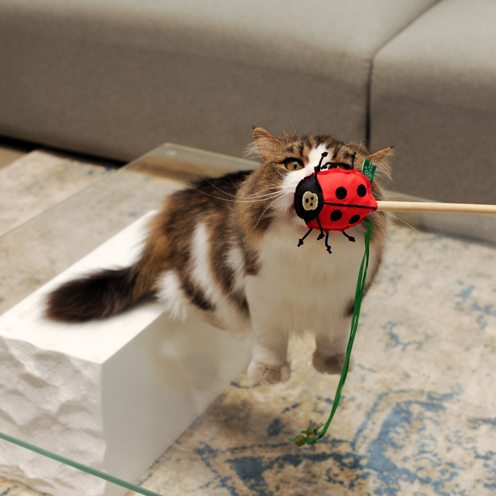 RPET Catnip Wand - Ladybird