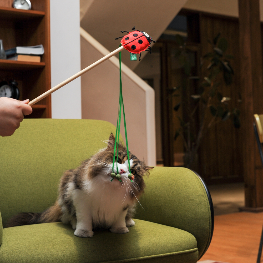 RPET Catnip Wand - Ladybird