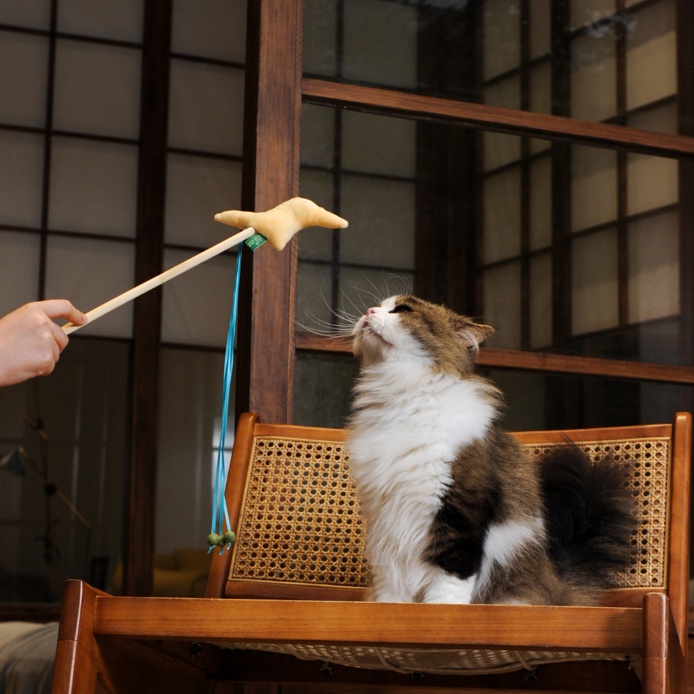 Catnip Wand - Lightning