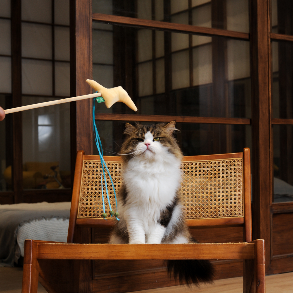 Catnip Wand - Lightning