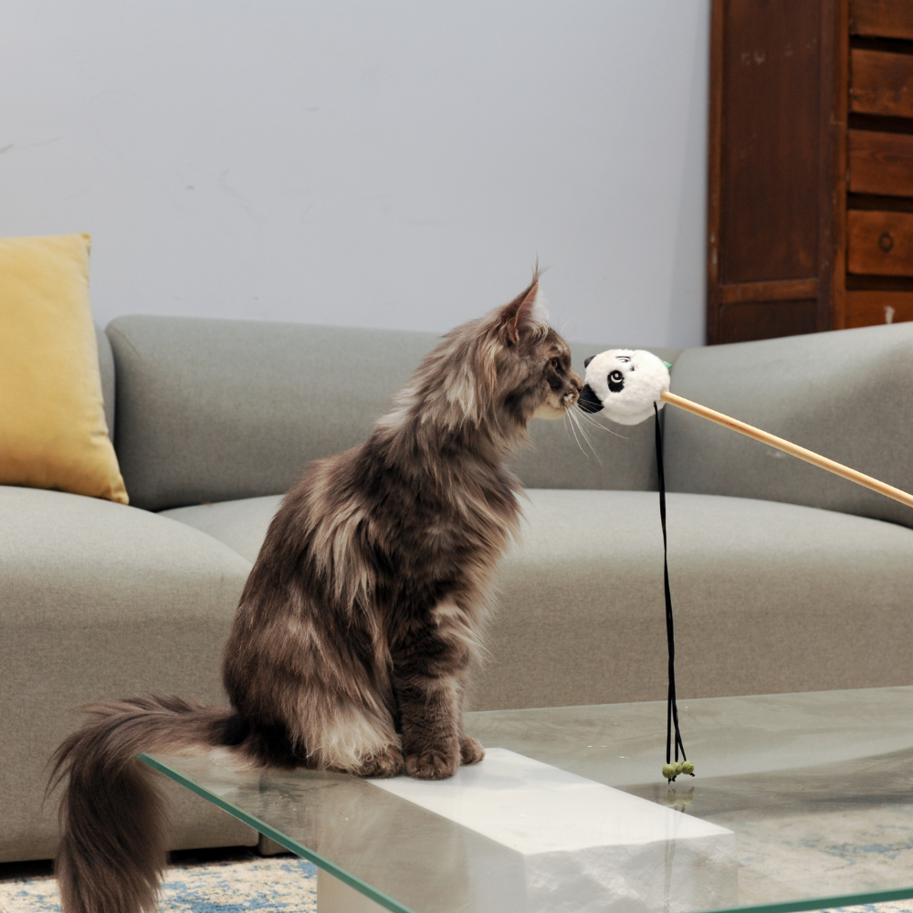Catnip Wand - Panda