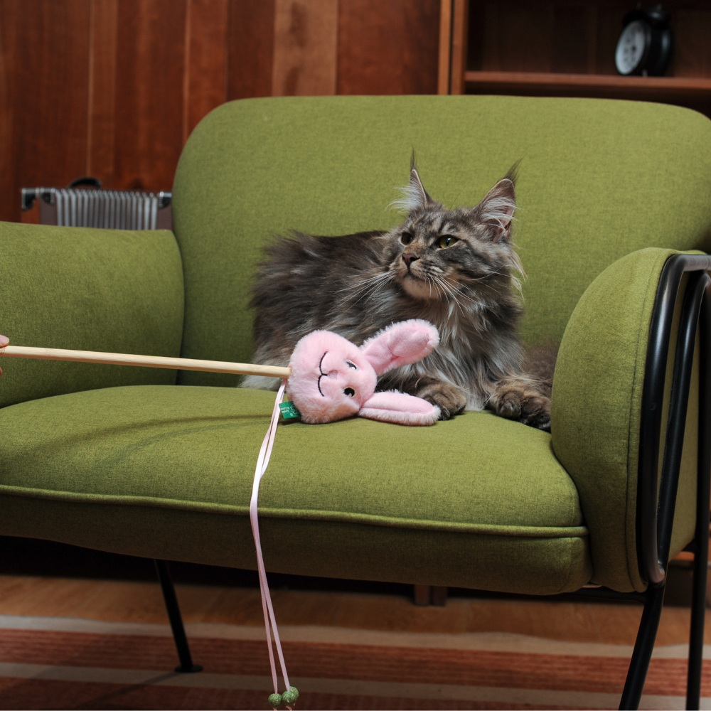 Catnip Wand - Rabbit