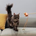 Catnip Wand - Tiger