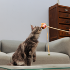 Catnip Wand - Tiger