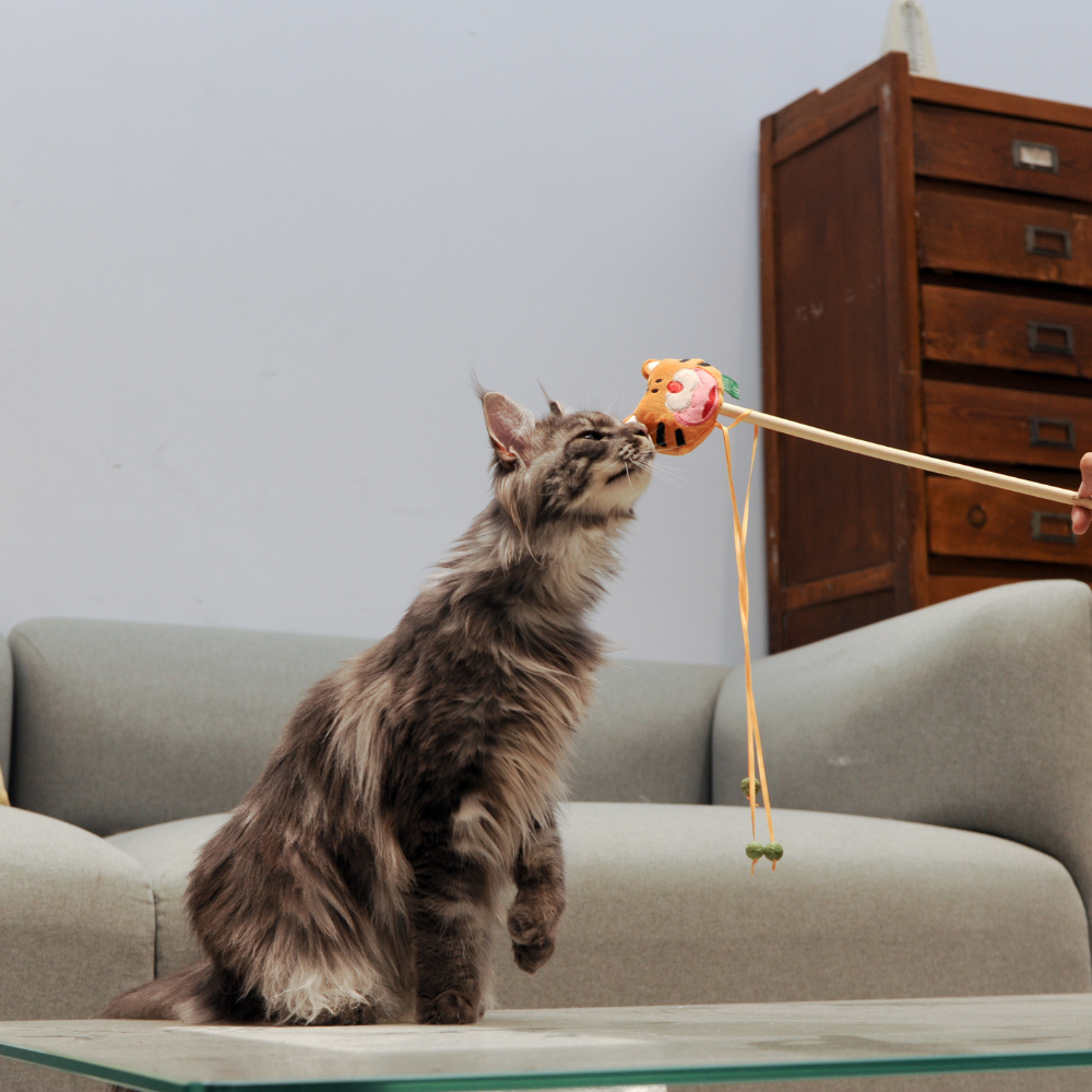 Catnip Wand - Tiger