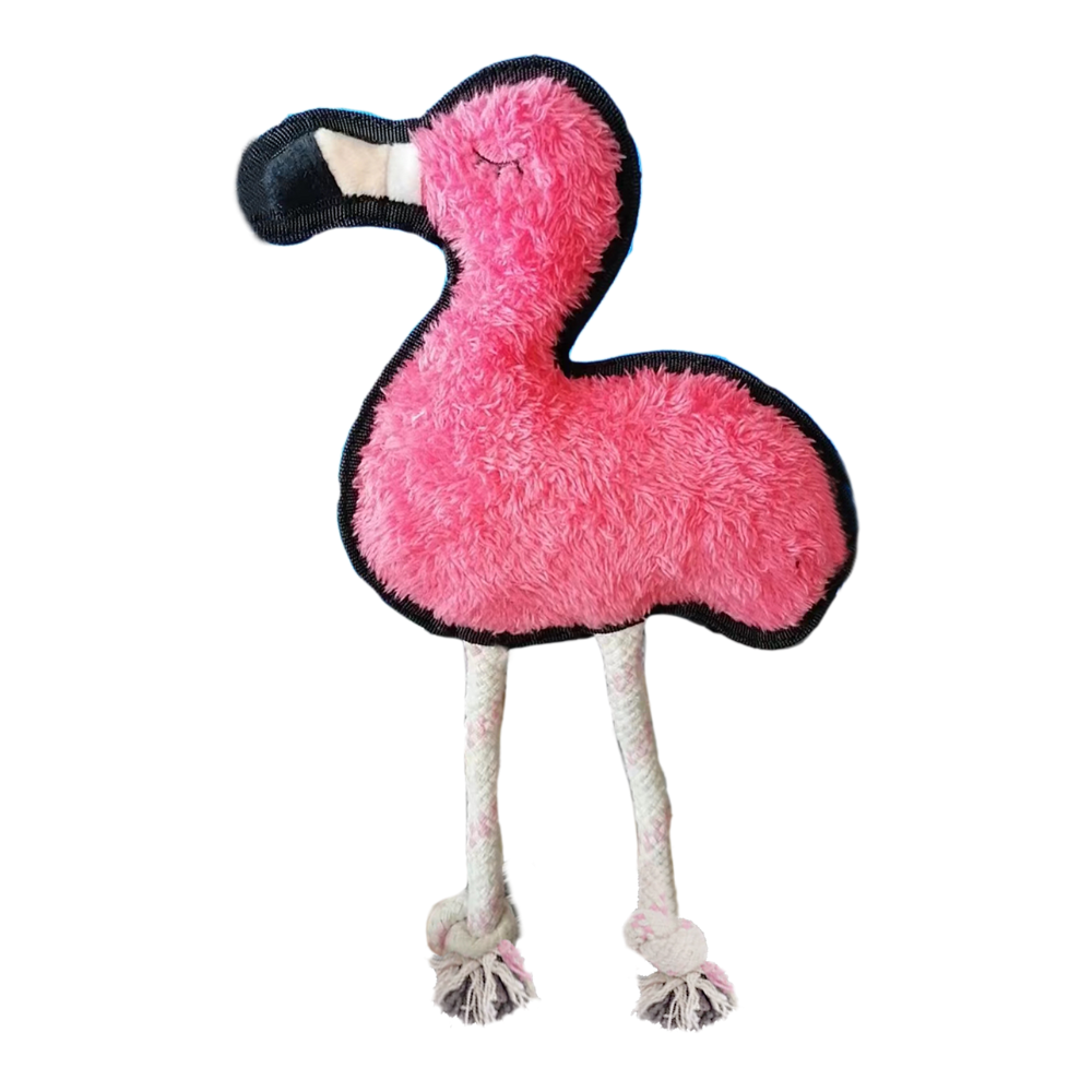 Flamingo - M