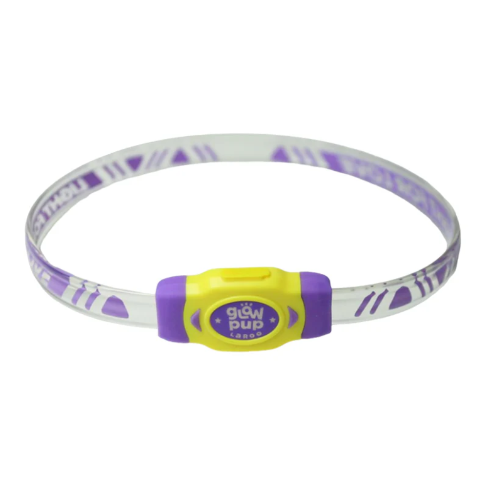 Glow Pup Rechargeable LED Collar - Purple
