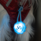 Glow Pup Blinker - Blue