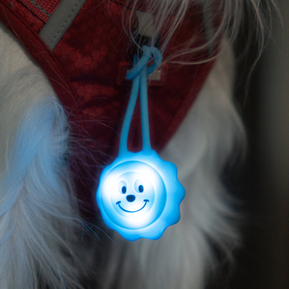 Glow Pup Blinker - Blue