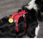 Glow Pup Blinker - Green