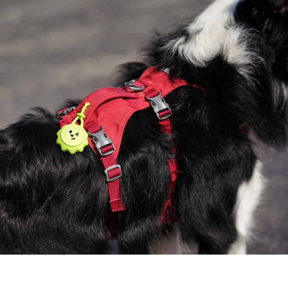 Glow Pup Blinker - Green