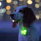 Glow Pup Blinker - Green