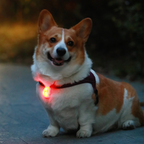 Glow Pup Blinker - Pink