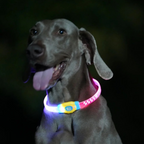 Glow Pup Rechargeable LED Collar - Blue